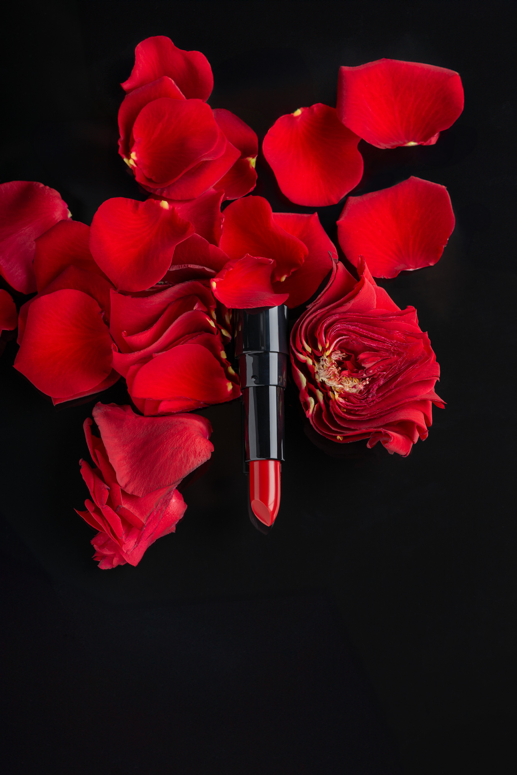 Meisterklasse – Lippenstift auf Rosenblättern