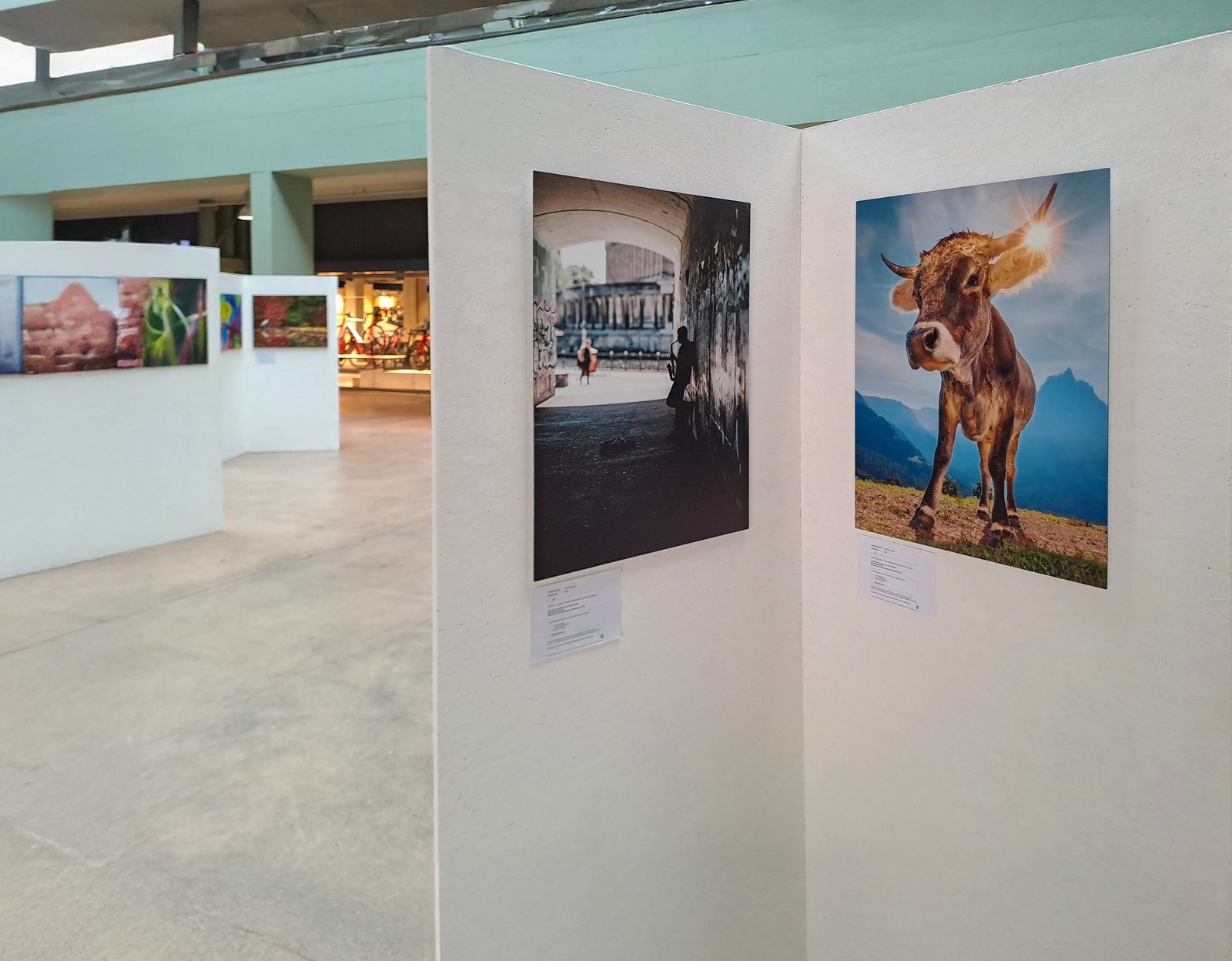 Ausstellungsansicht Aargau – Beas Werke an Stellwänden