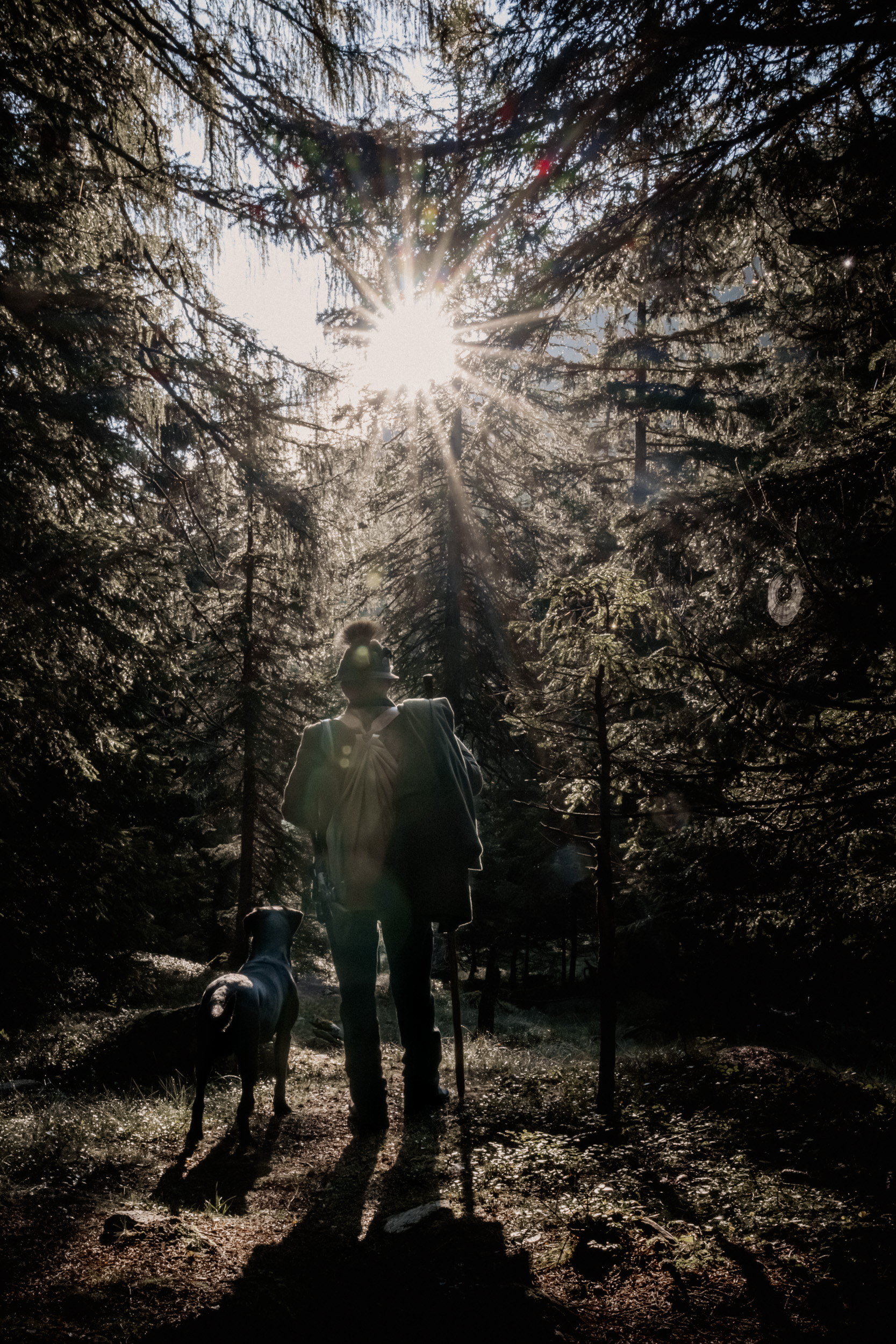 Jäger im Morgenlicht – Südtiroler Jagdverband, 3. Platz „Rund um die Jagd“