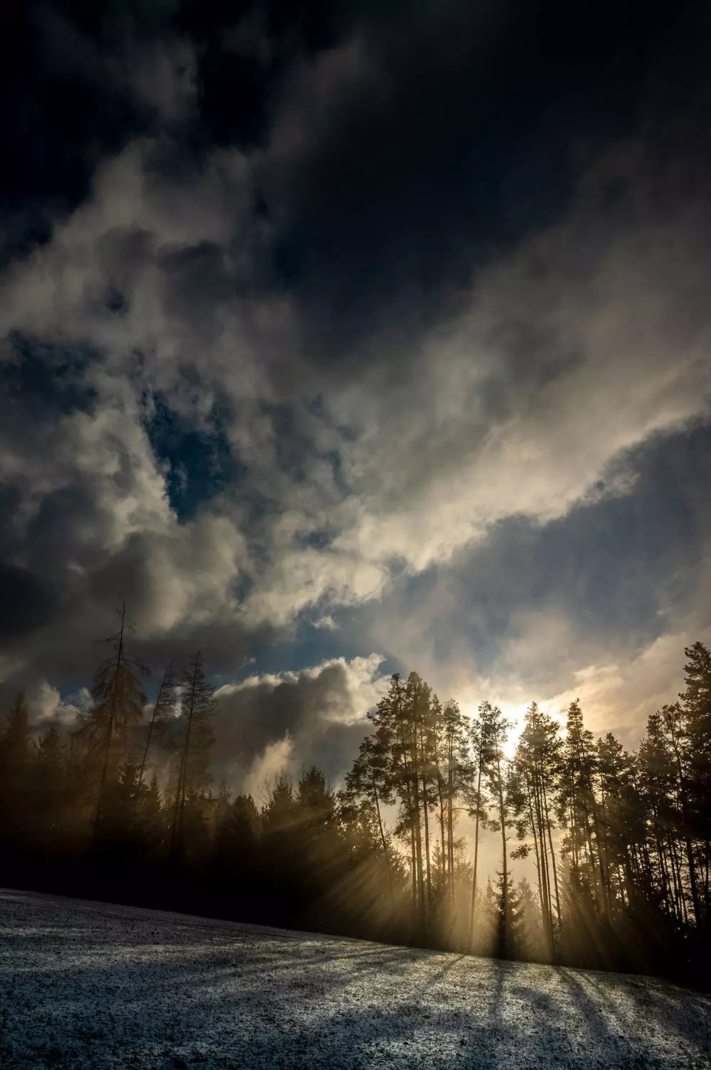 Nach dem Sturm – Sonnenstrahlen über verschneitem Waldrand